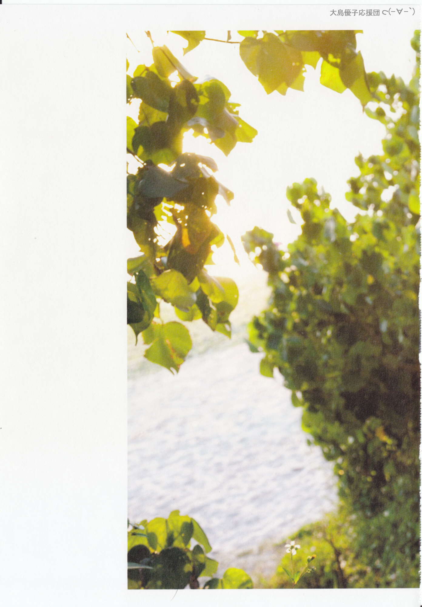 大島優子 1stフォトブック 優子 [PB写真集] Yuko Oshima